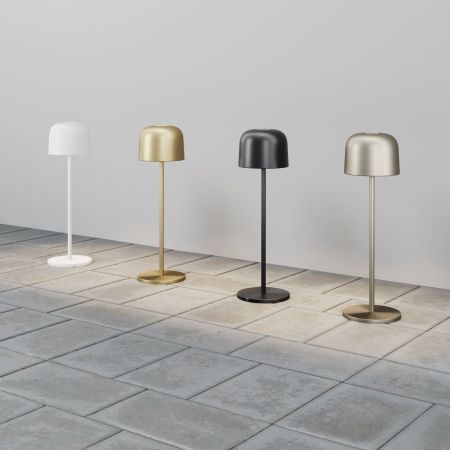 Уличный переносной светильник Maytoni Noble O528TL-L2PTCCT