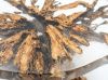 Стол обеденный из корня ореха ROOT 300