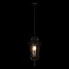 Уличный подвесной светильник LOFT IT Verona 100003P
