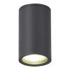 SL9010.712.01 Светильник уличный потолочный ST-Luce серый GU10 1*50W TUBO