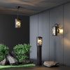 Уличный настенный светильник Elektrostandard Premier GL 1017D