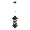 Уличный подвесной светильник LOFT IT Bergamo 100018P