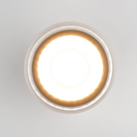 Уличный потолочный светильник Elektrostandard Light LED 35140/H