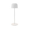 Уличный переносной светильник Maytoni Noble O528TL-L2WCCT