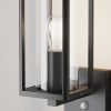 Уличный настенный светильник Outdoor O452WL-01GFSR