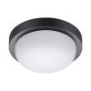 Уличный потолочный светильник Novotech Opal 358015 черный