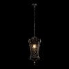 Уличный подвесной светильник LOFT IT Tremezzo 100019P BS