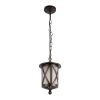 Уличный подвесной светильник LOFT IT Ravenna 100016P