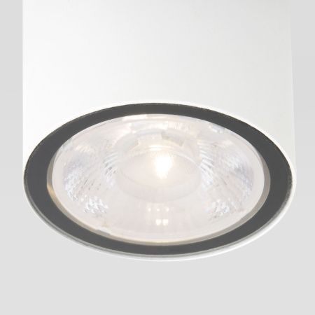 Уличный потолочный светильник Elektrostandard Light LED 35131/H