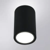 Уличный потолочный светильник Arte Lamp TORCULAR A1307PF-1BK