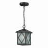 Уличный подвесной светильник ST Luce Лорне SL084.403.01