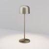 Уличный переносной светильник Maytoni Noble O528TL-L2PTCCT