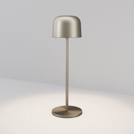 Уличный переносной светильник Maytoni Noble O528TL-L2PTCCT