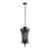 Уличный подвесной светильник LOFT IT Tremezzo 100019P BS
