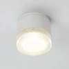 Уличный потолочный светильник Arte Lamp PIAUTOS A1926PF-1WH