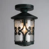 Уличный потолочный светильник Arte Lamp PERSIA A1453PF-1BG