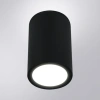 Уличный потолочный светильник Arte Lamp TORCULAR A1807PF-1BK