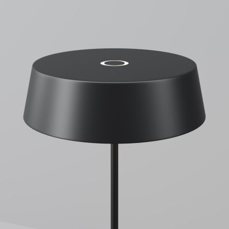 Уличный переносной светильник Maytoni Porto O540TL-L2BCCT черный