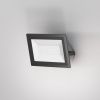 Прожектор Outdoor FL001-L50B6K