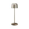Уличный переносной светильник Maytoni Noble O528TL-L2PTCCT