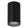SL9010.412.01 Светильник уличный потолочный ST-Luce черный GU10 1*50W TUBO